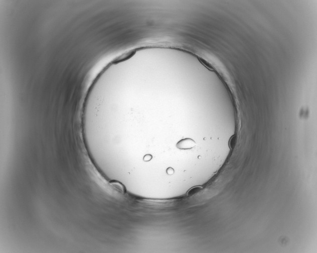 X0000093391344200711011302