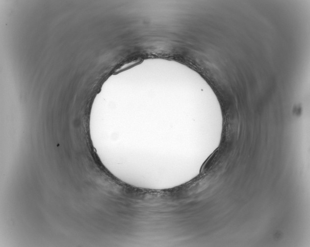 X0000093391345200711011302