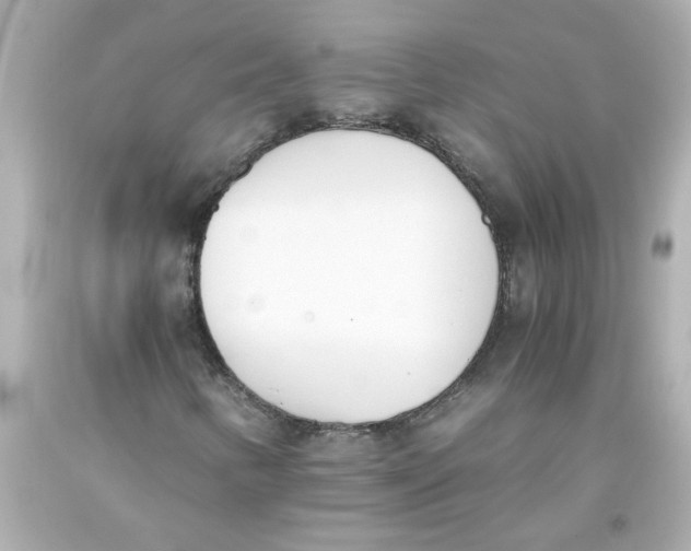 X0000093391346200711011302