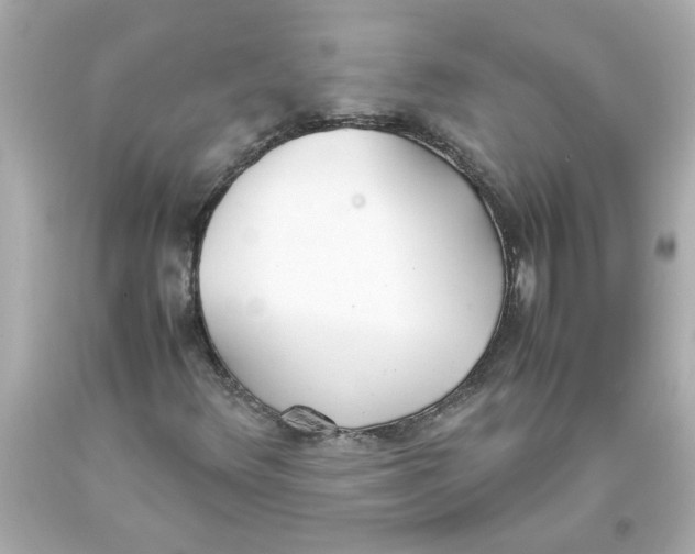 X0000093391348200711011302