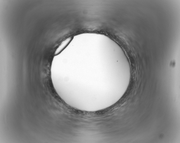 X0000093391349200711011302