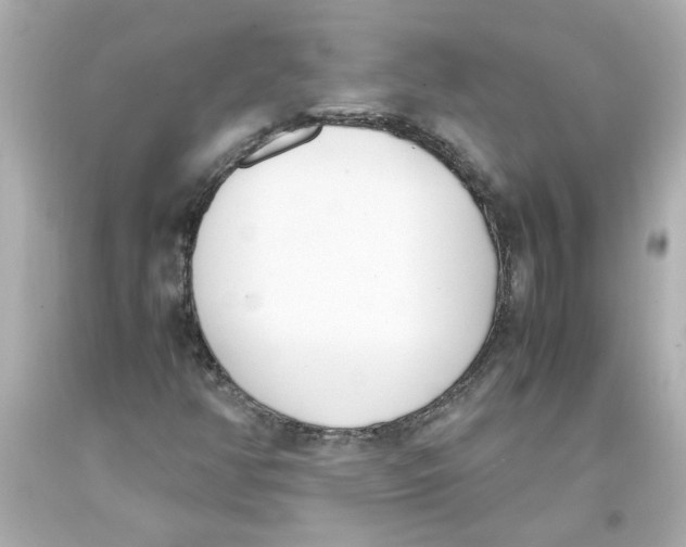 X0000093391350200711011302