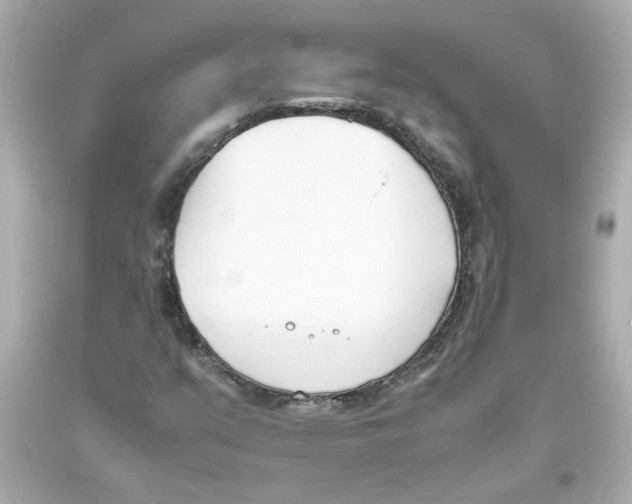 X0000093391351200711011302