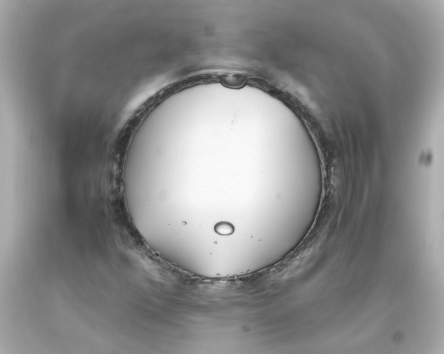 X0000093391352200711011302