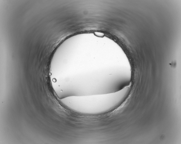 X0000093391353200711011302