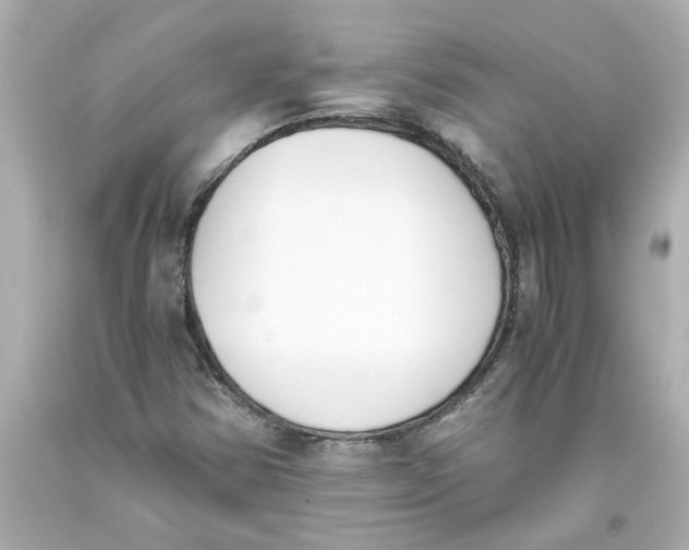 X0000093391354200711011302