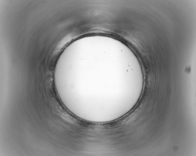 X0000093391355200711011302