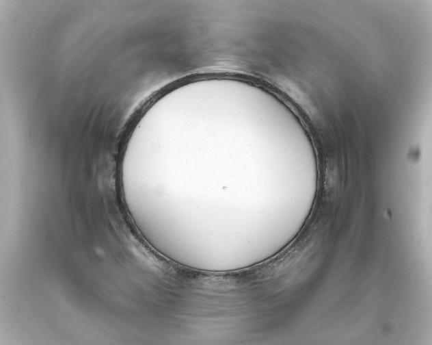 X0000093391356200711011302