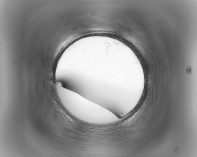 X0000093391357200711011302