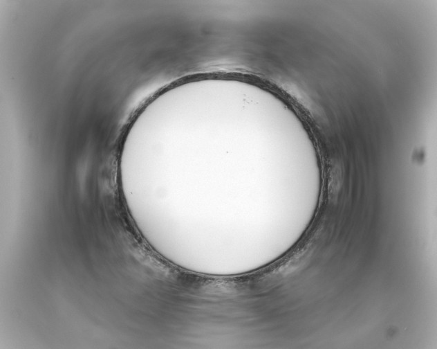 X0000093391358200711011302