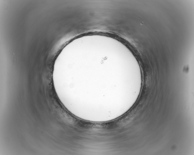 X0000093391359200711011302