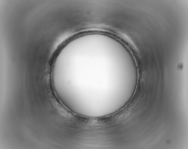 X0000093391360200711011302