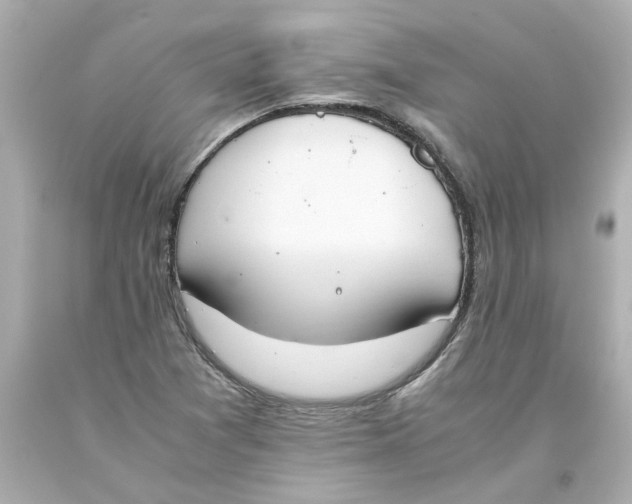 X0000093391361200711011302