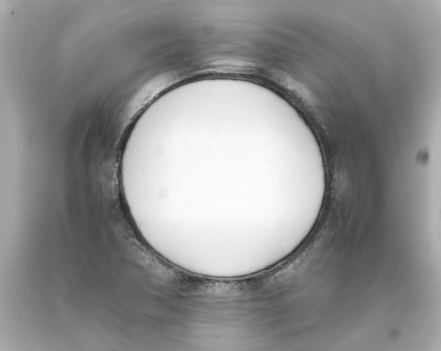 X0000093391362200711011302