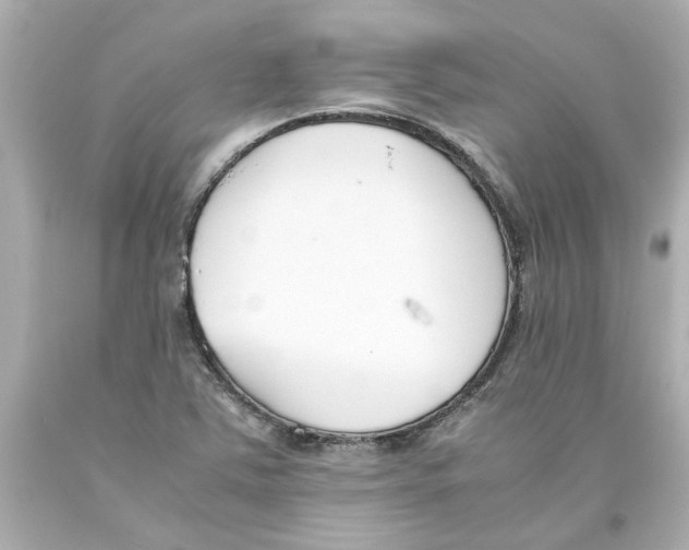 X0000093391363200711011302