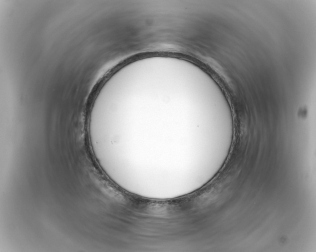 X0000093391364200711011302