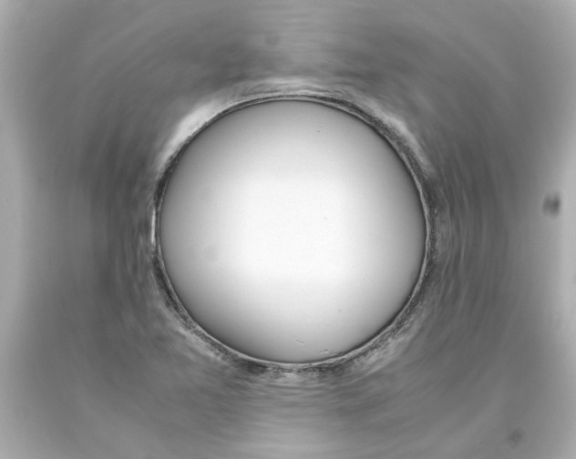 X0000093391365200711011302