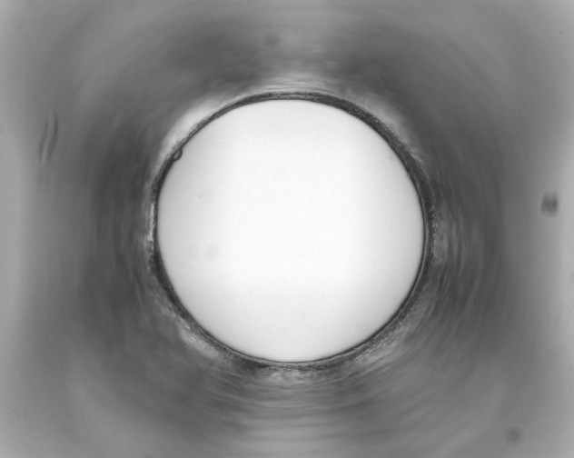 X0000093391366200711011302