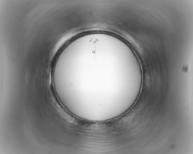 X0000093391368200711011302