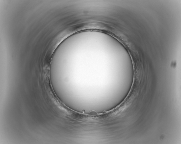 X0000093391369200711011302