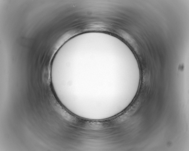 X0000093391370200711011302