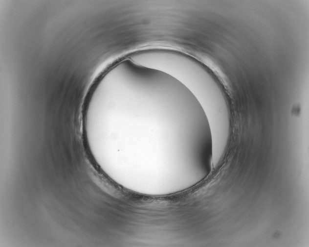 X0000093391372200711011302