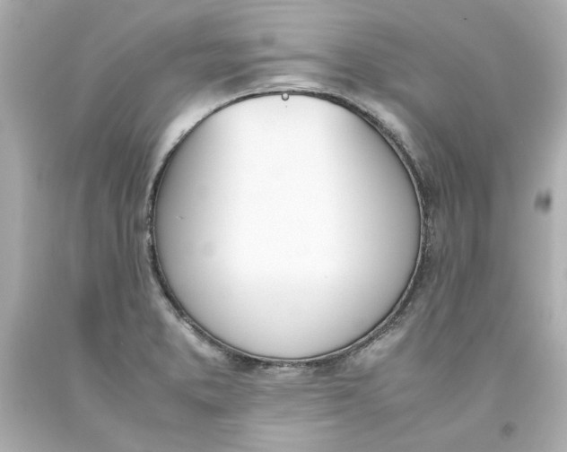 X0000093391373200711011302