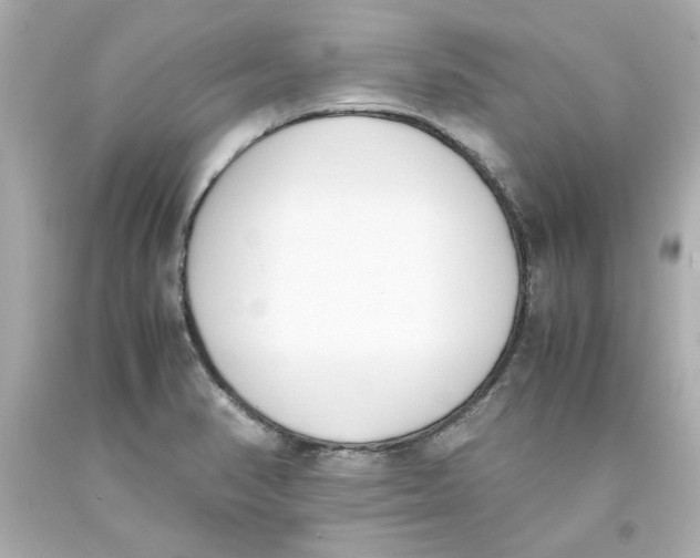 X0000093391374200711011302