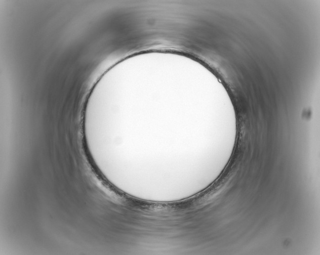 X0000093391375200711011302