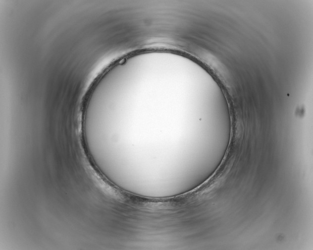 X0000093391376200711011301