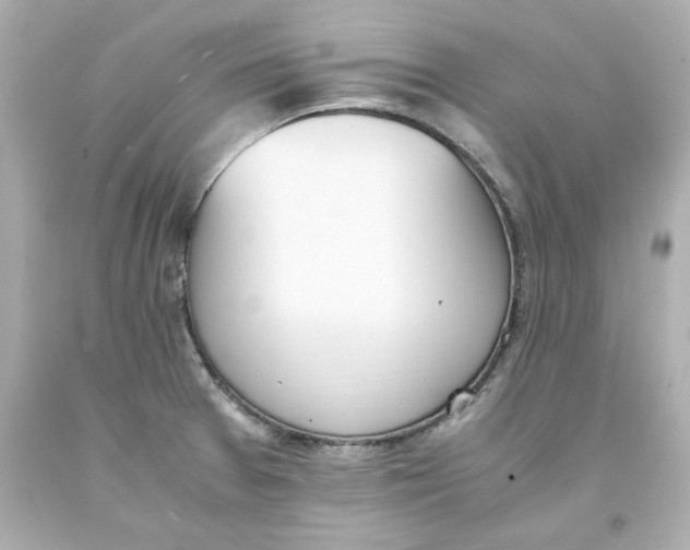 X0000093391377200711011301