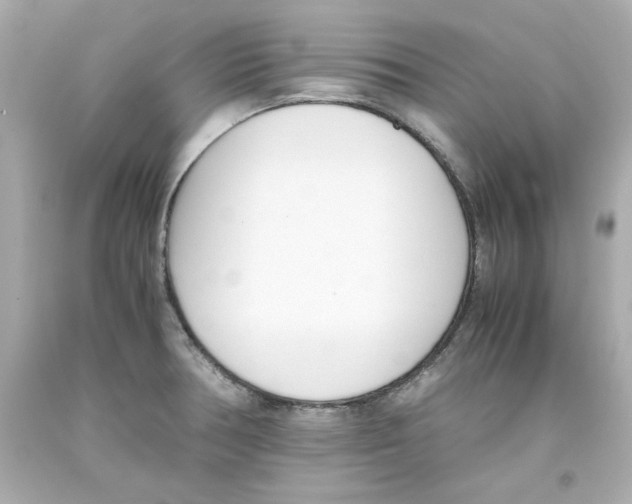 X0000093391378200711011301