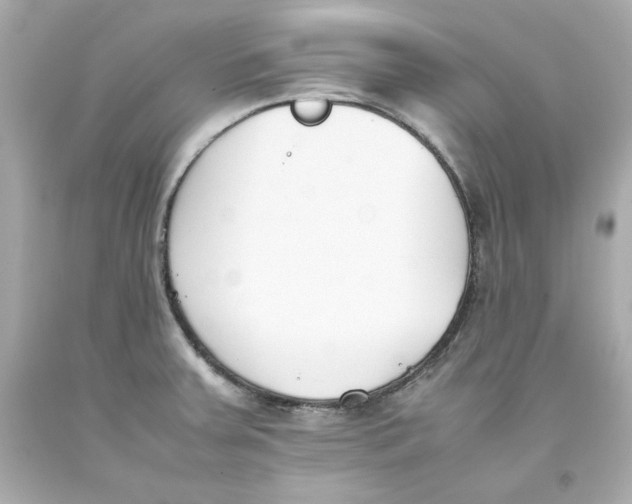 X0000093391379200711011301