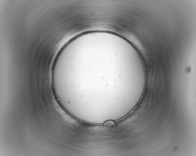 X0000093391380200711011301