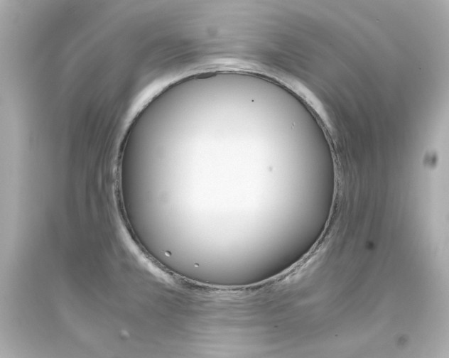 X0000093391381200711011301