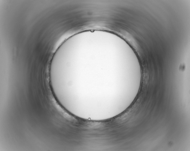 X0000093391382200711011301