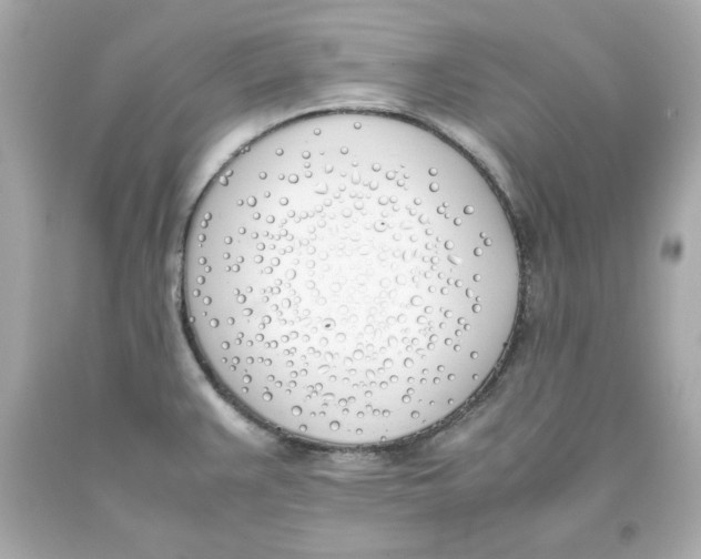 X0000093391383200711011301