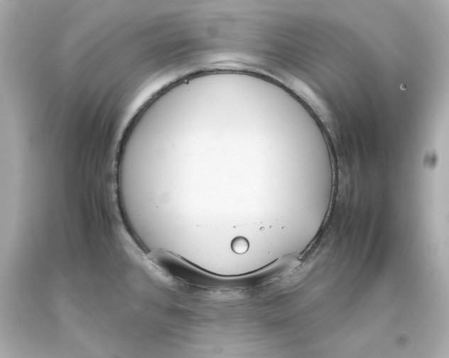 X0000093391384200711011301