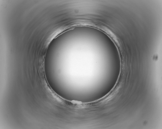 X0000093391385200711011301