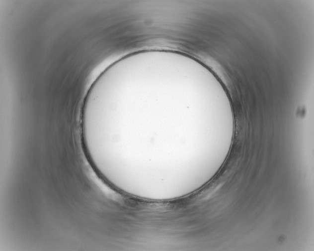 X0000093391387200711011301