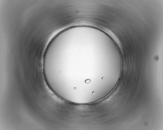 X0000093391388200711011301