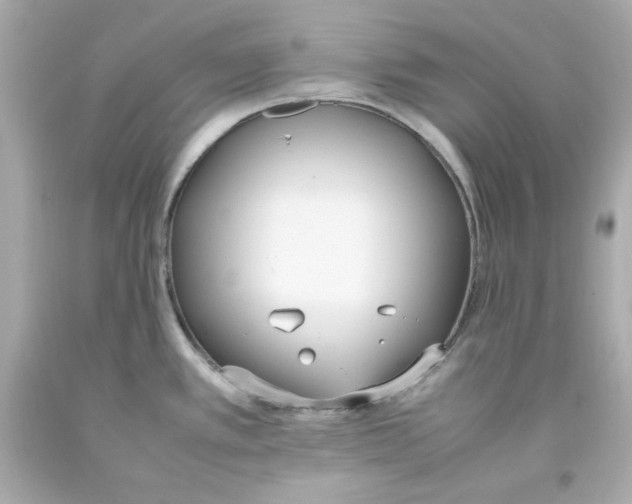 X0000093391389200711011301