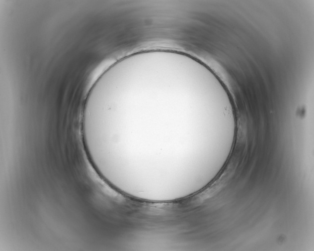 X0000093391390200711011301