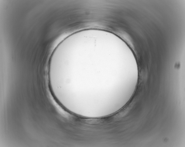 X0000093391391200711011301