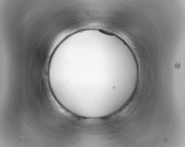 X0000093391392200711011301