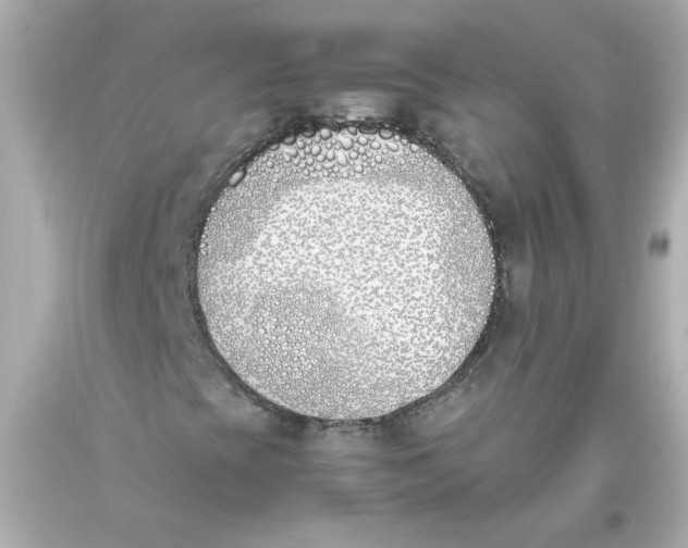 X0000093391393200711011301