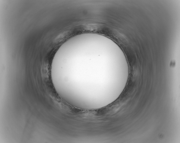 X0000093391394200711011301