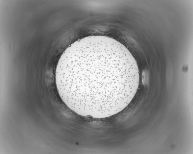 X0000093391395200711011301