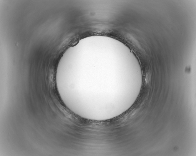 X0000093391396200711011301