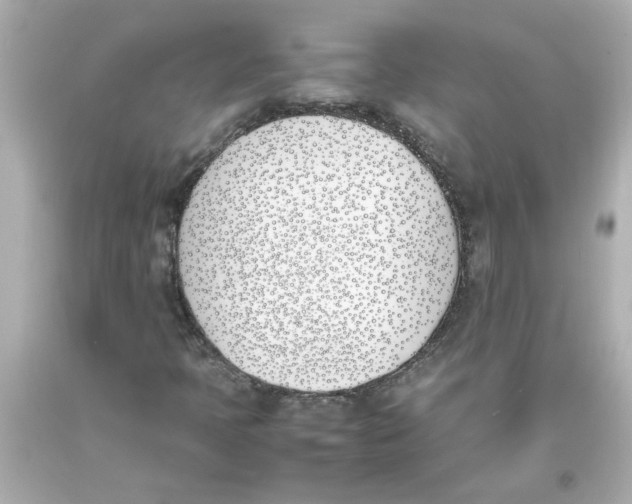 X0000093391397200711011301